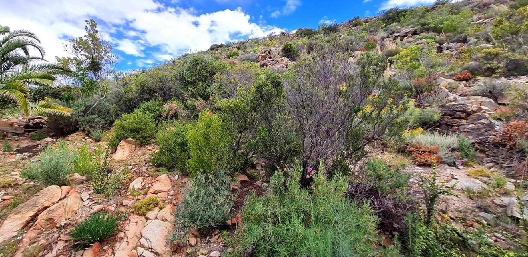 Montagu Little Sanctuary - Hot Spring Access At Reduced Price Apartment Room photo