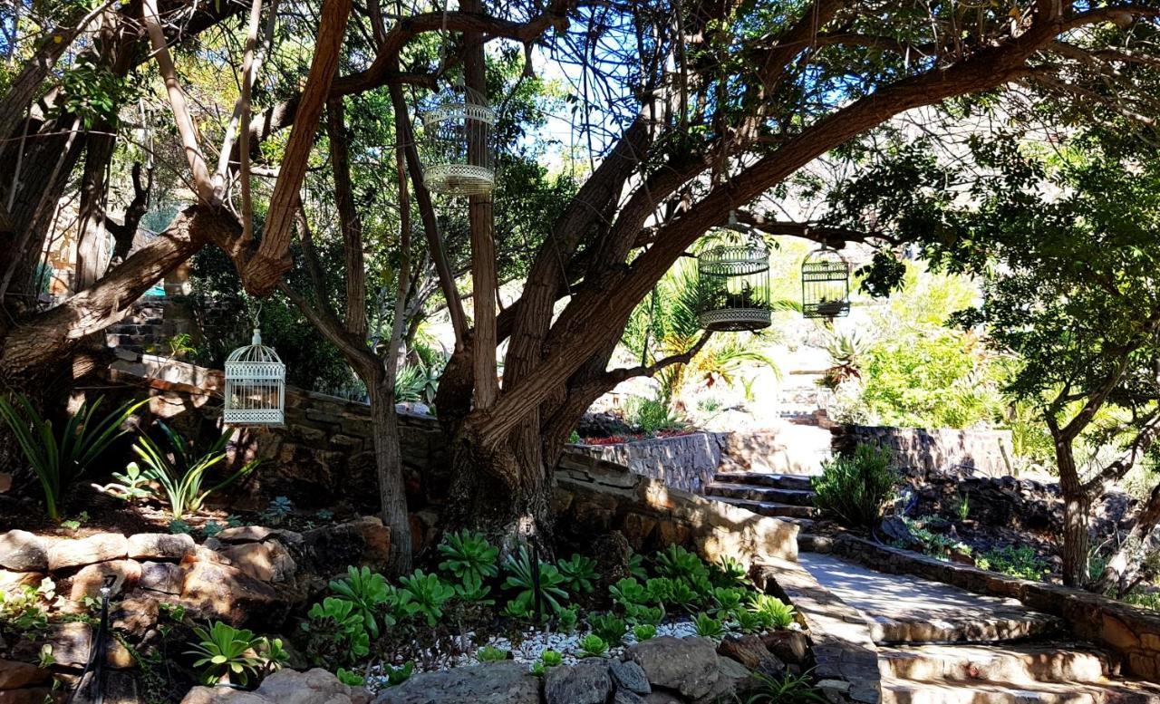 Montagu Little Sanctuary - Hot Spring Access At Reduced Price Apartment Exterior photo